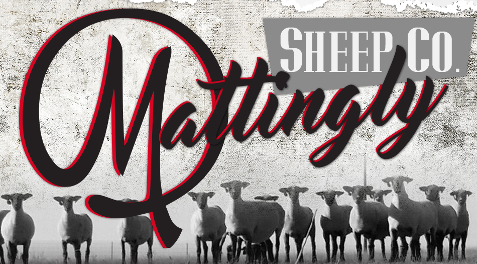 Mattingly Sheep Co.